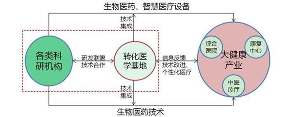 健康科技與醫(yī)養(yǎng)服務(wù)聯(lián)動 驅(qū)動醫(yī)學(xué)研究與試驗(yàn)發(fā)展的康養(yǎng)產(chǎn)業(yè)新模式